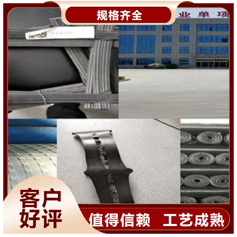 双向塑料格栅塑料排水板精选好货