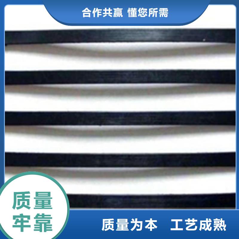 单向塑料格栅-塑料土工格栅拥有多家成功案例
