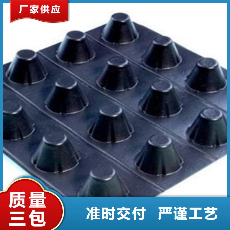 塑料排水板园林绿化屋顶花园疏水板价格合理