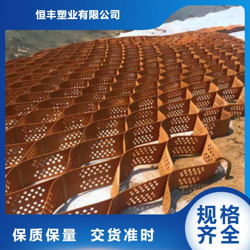 TGGS土工格室（图示）