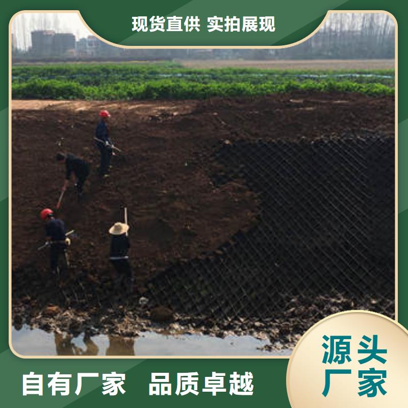 蜂巢格室塑料格栅满足客户所需