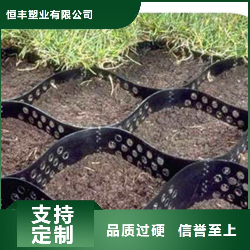 蜂巢格室_蜂格网支持货到付清