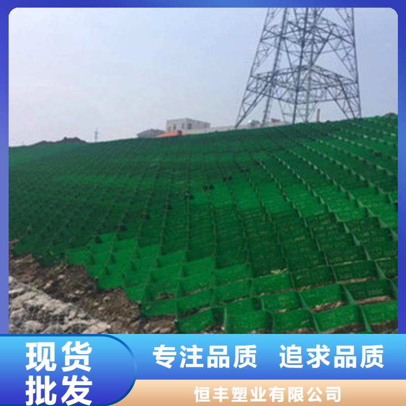 TGGS土工格室（图示）