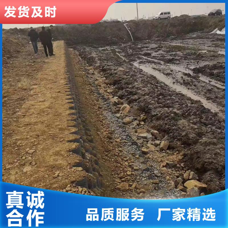 蜂巢格室网格布品质卓越