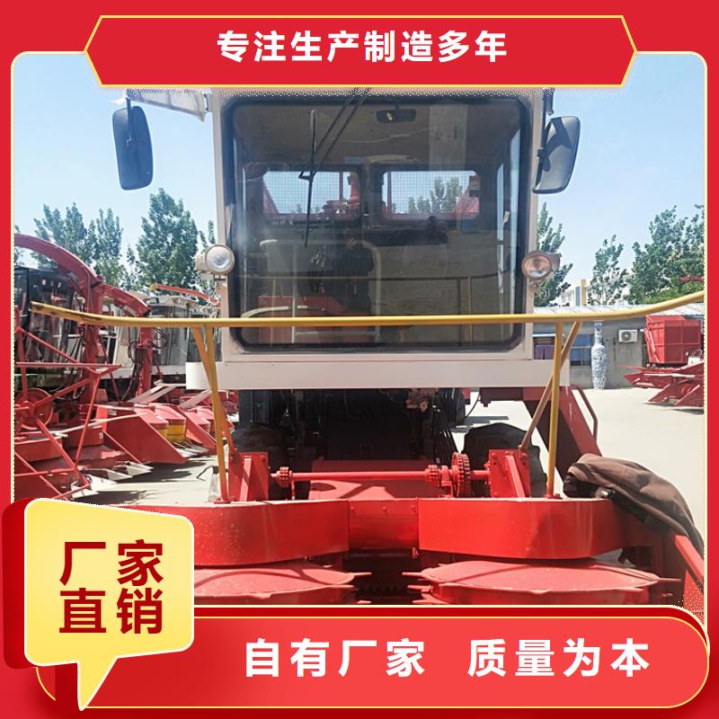 青储机德牧犬对质量负责