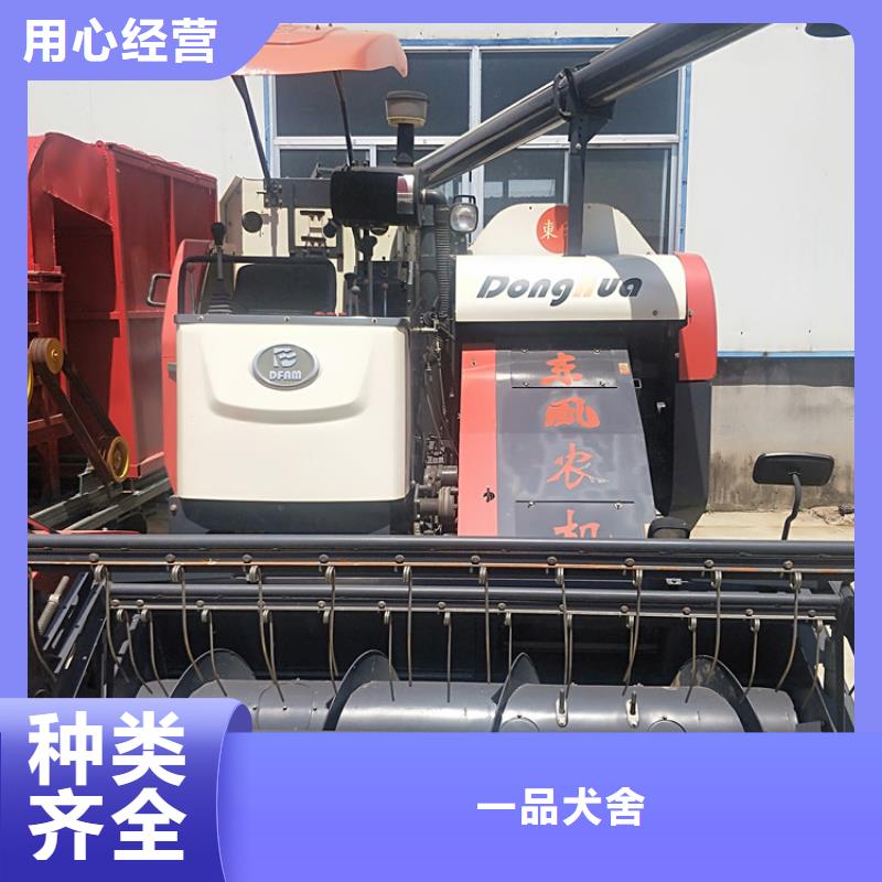 青储机_杜宾犬当日价格