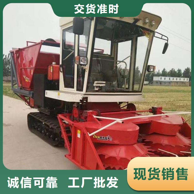 青储机,德牧犬精选货源