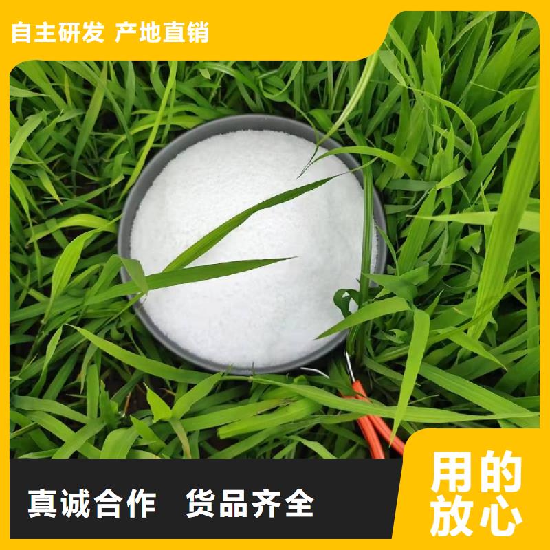 洗煤用的聚丙烯酰胺发货快