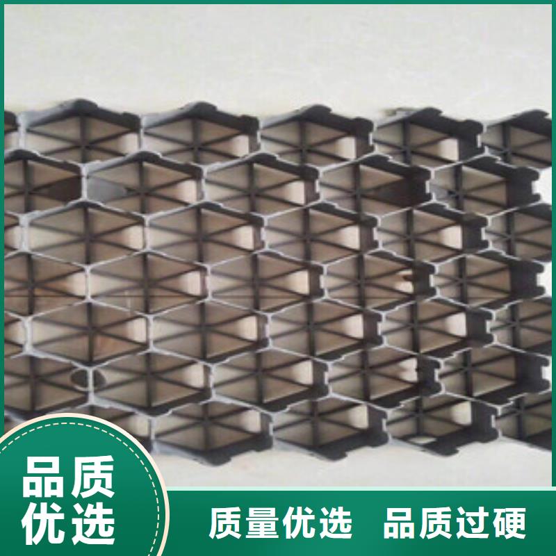 环保植草格,土工布厂家专注细节专注品质