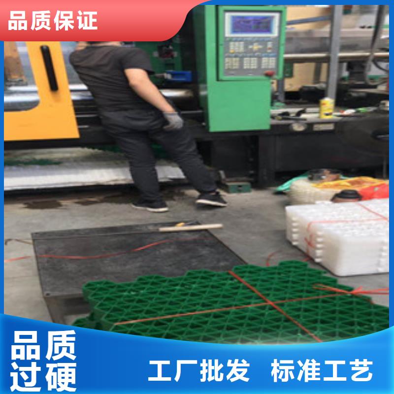 环保植草格 虹吸排水槽厂家采购