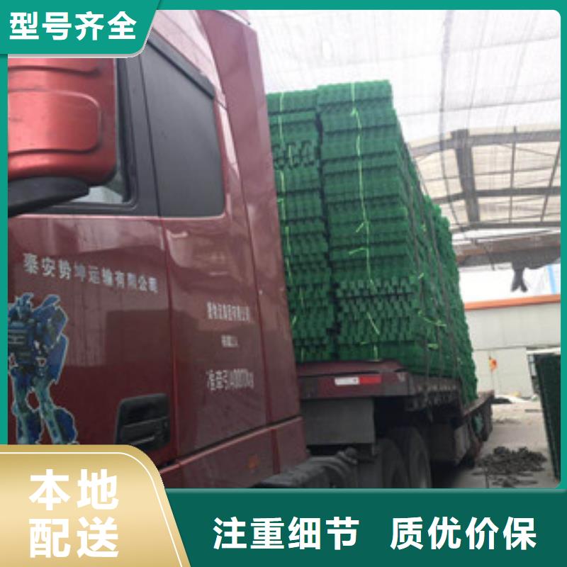 环保植草格,排水板厂家厂家供应