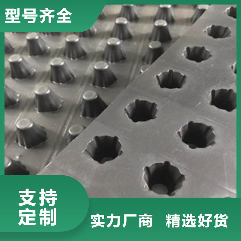 塑料排水板-土工膜厂家把实惠留给您