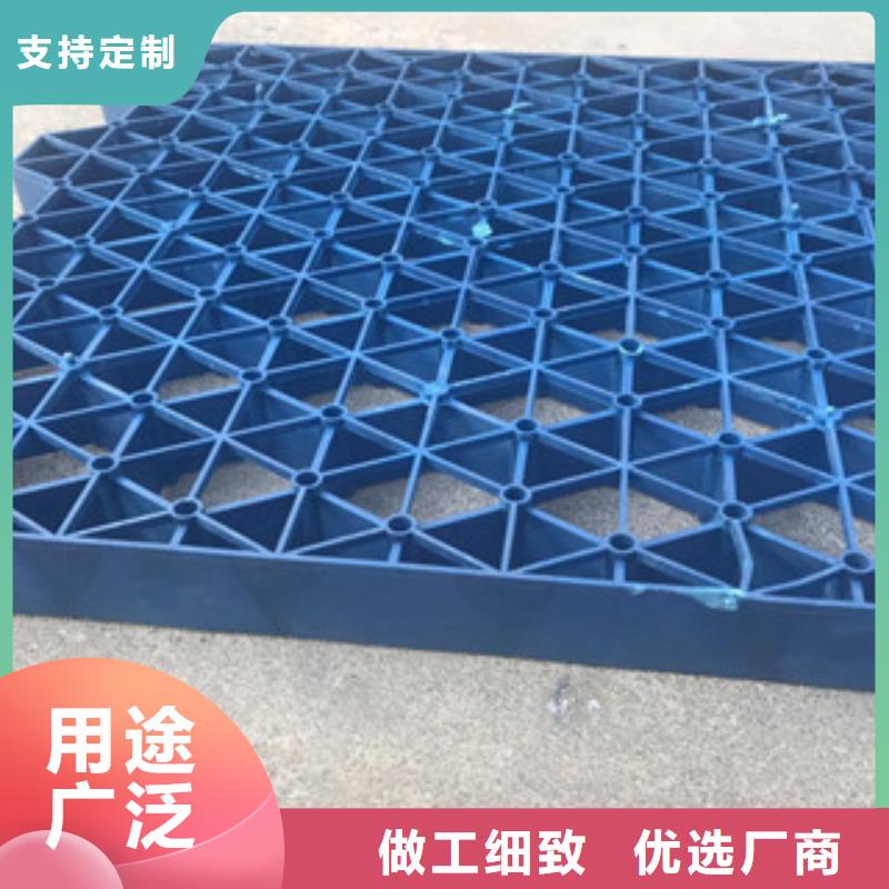 植草格蓄排水板厂家厂家实力雄厚