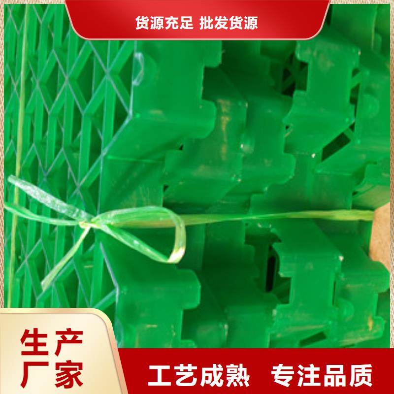 植草格土工布厂家多种规格库存充足