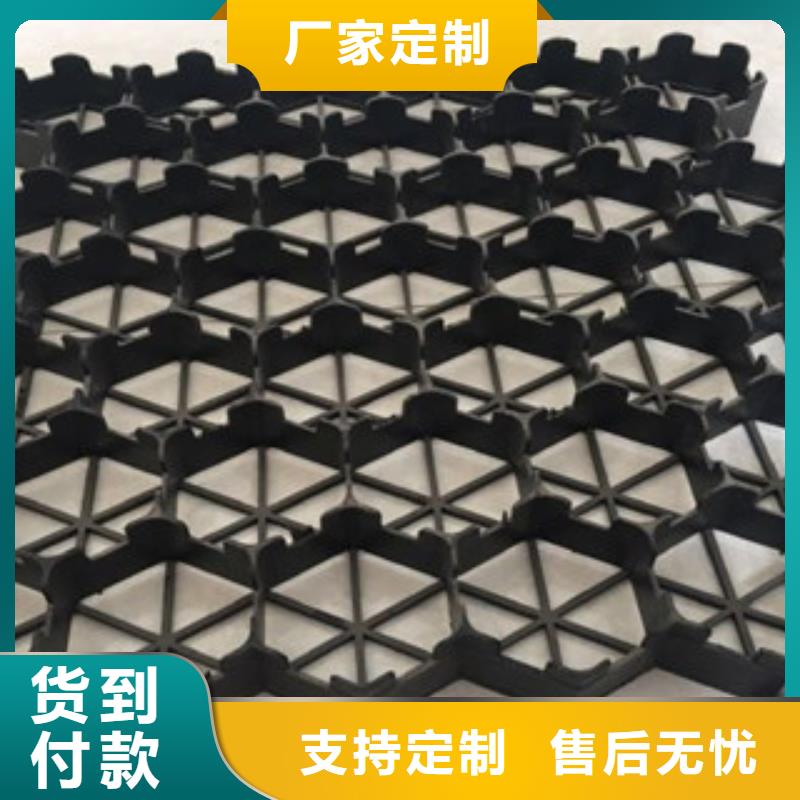 植草格膨润土防水毯厂家多家仓库发货