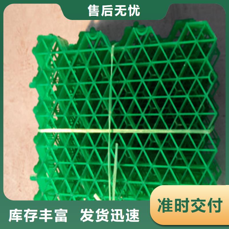 植草格植草格厂家低价货源