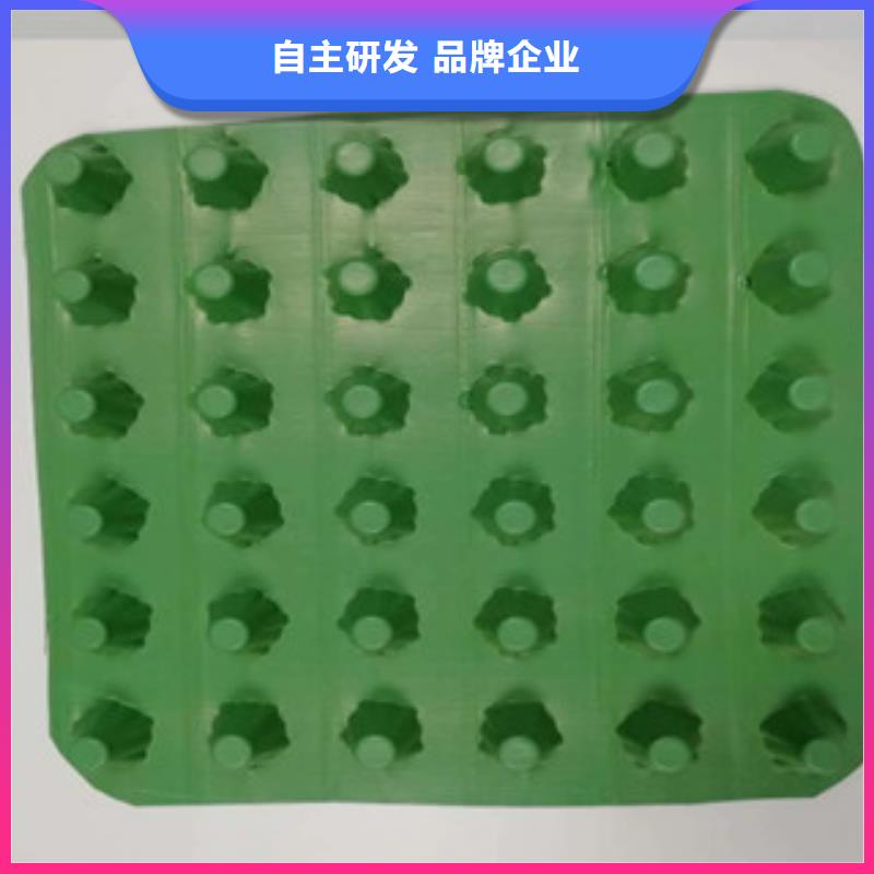 排水板蓄排水板厂家24小时下单发货