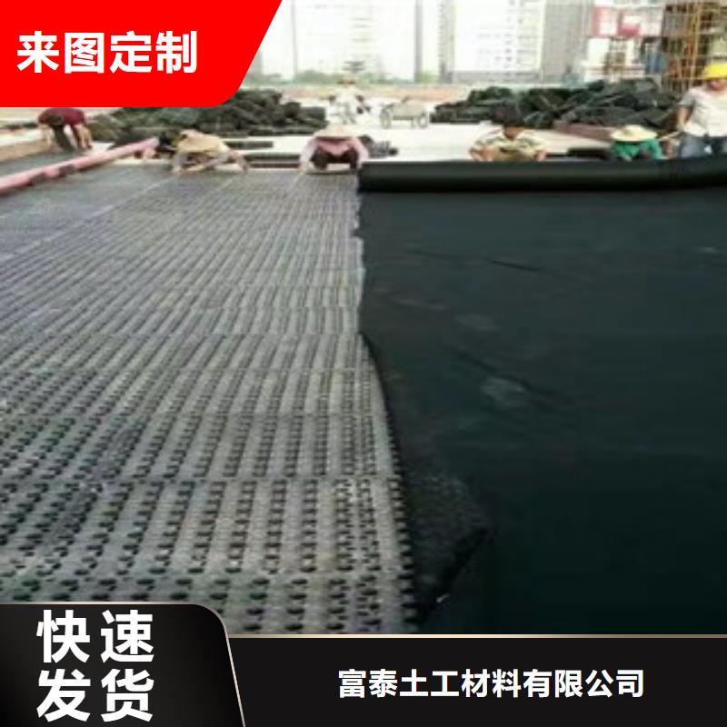 蓄排水板-【膨润土防水毯厂家】满足客户需求