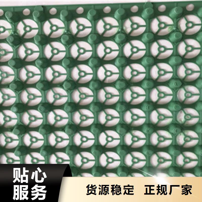 蓄排水板膨润土防水毯厂家好品质选我们
