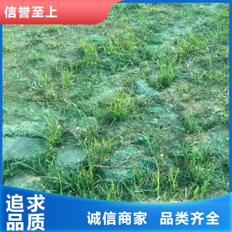 运煤火车结壳抑尘剂源头厂家