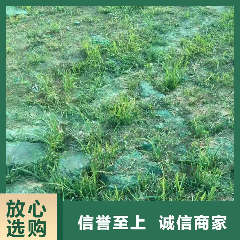 臭氧去除剂来图加工