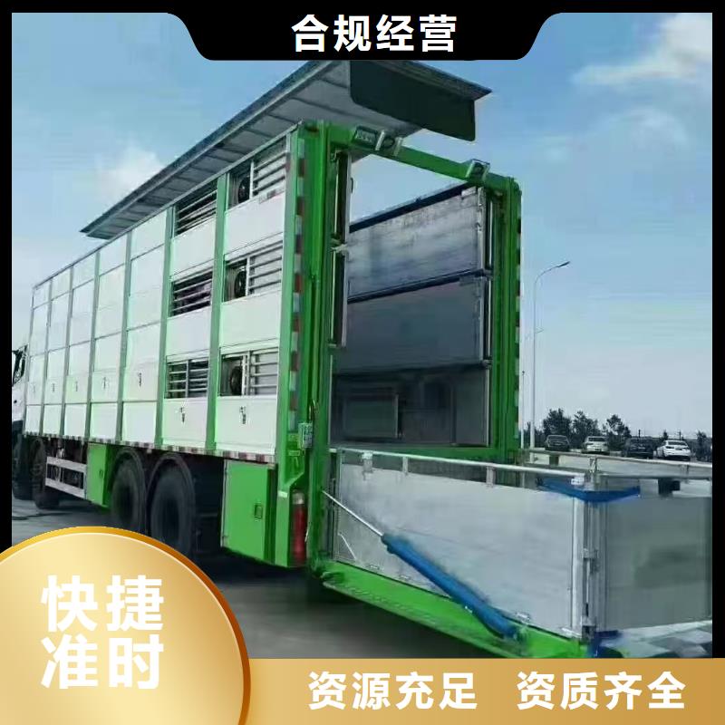 商丘到秀洲物流公司