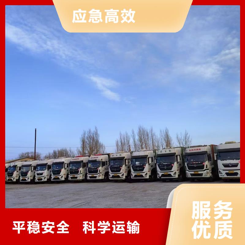 丽水到大连物流公司