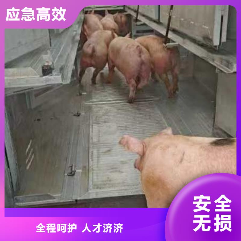 丽水到大连物流公司