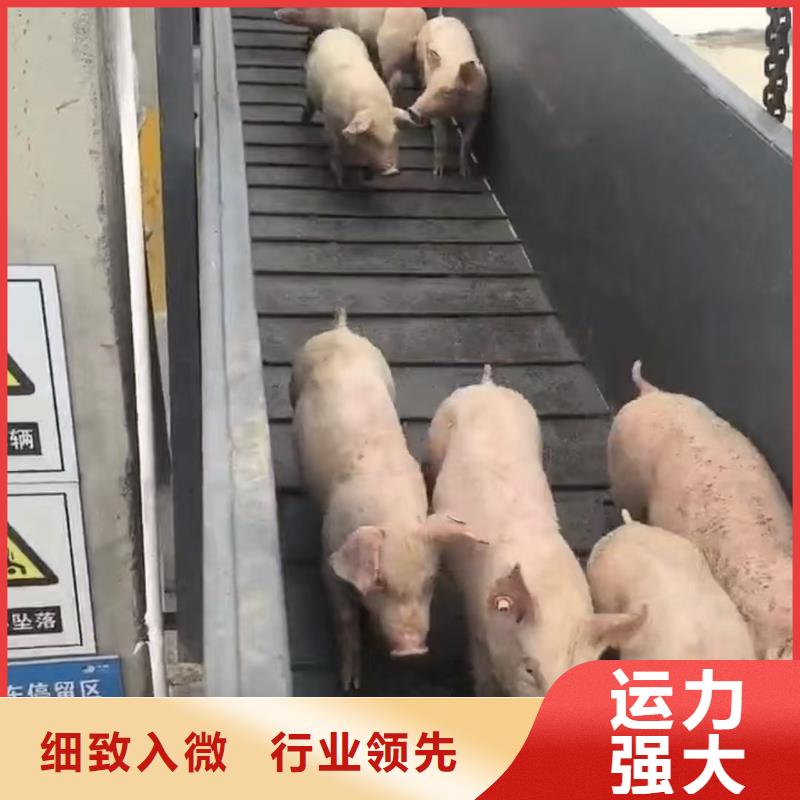 宁波到凉山物流公司