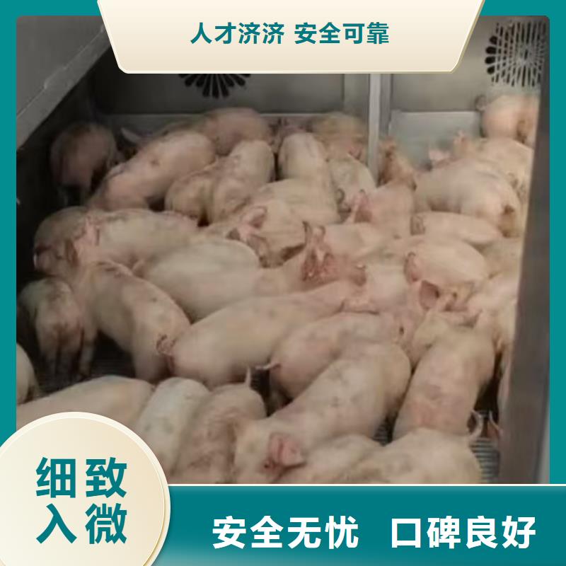 宁波到凉山物流公司