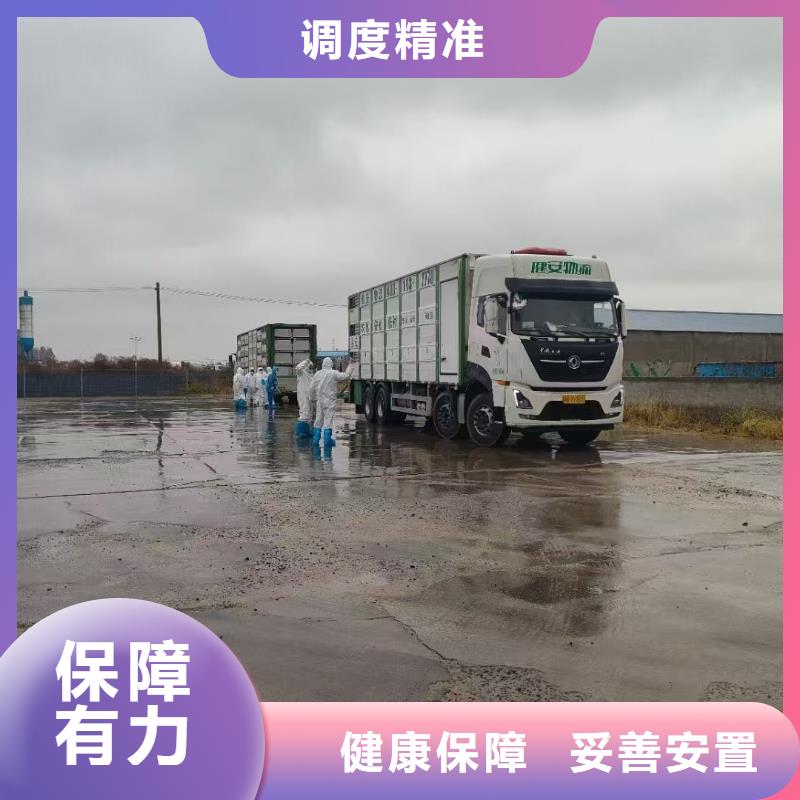 丽水到大连物流公司