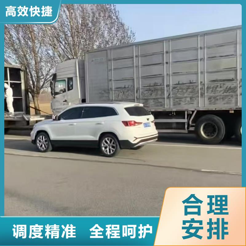 焦作到德阳物流公司