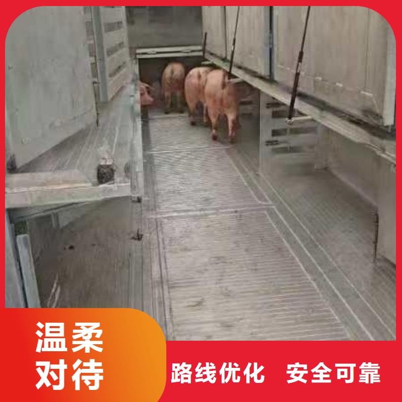 商丘到秀洲物流公司