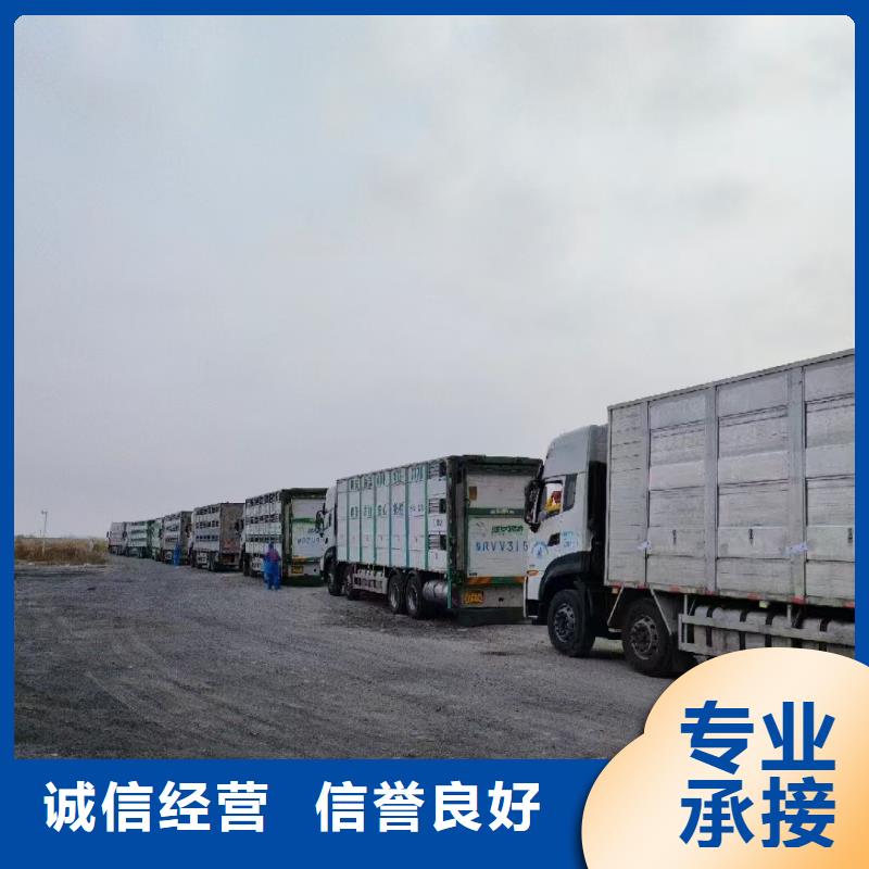 宿州到辽宁物流公司