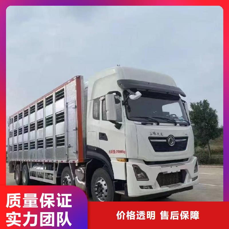 濮阳到平顶山物流公司