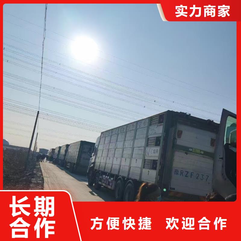 濮阳到平顶山物流公司