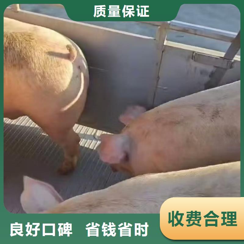 常州到三明物流公司