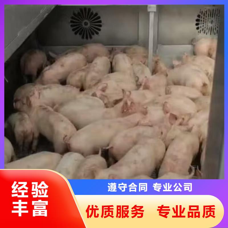 阜阳到温州物流公司